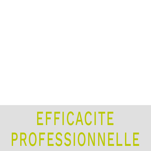 formations efficacité professionnelle